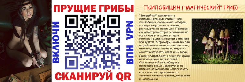 Галлюциногенные грибы GOLDEN TEACHER  закладки  Борисоглебск 