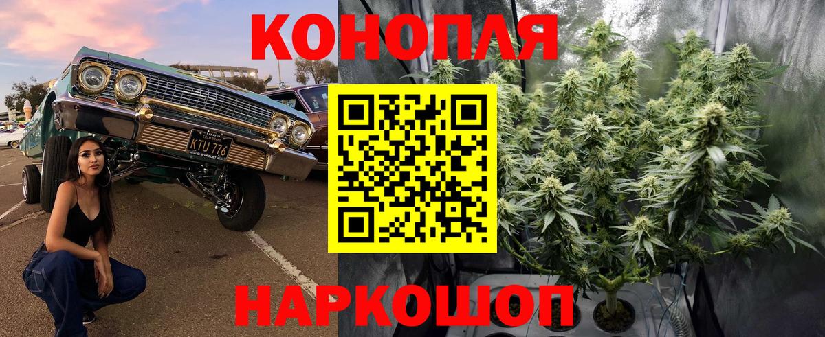 МАРИХУАНА White Widow Борисоглебск